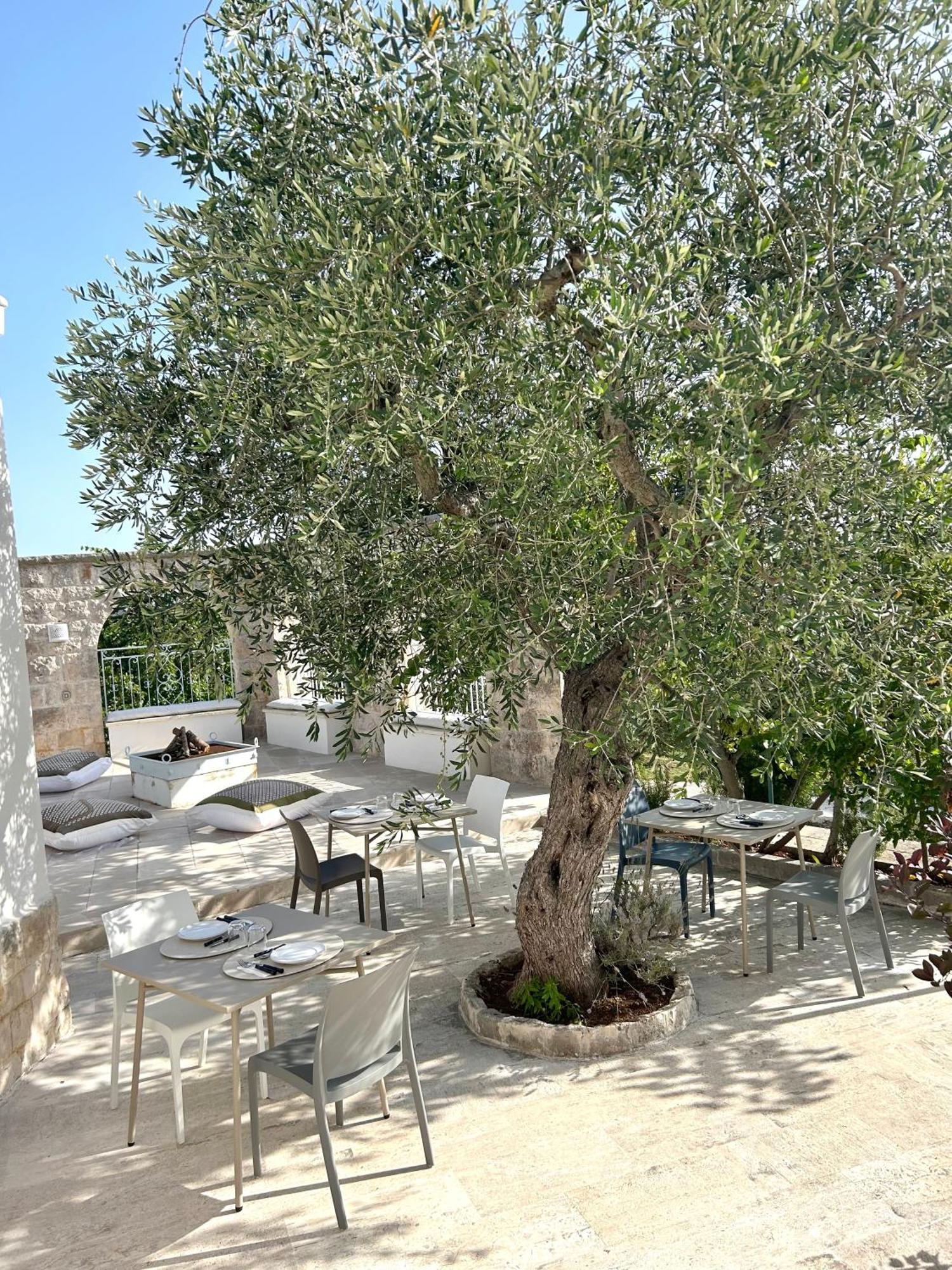 Bed and Breakfast Il Trullo Di Simona Locorotondo Exteriér fotografie