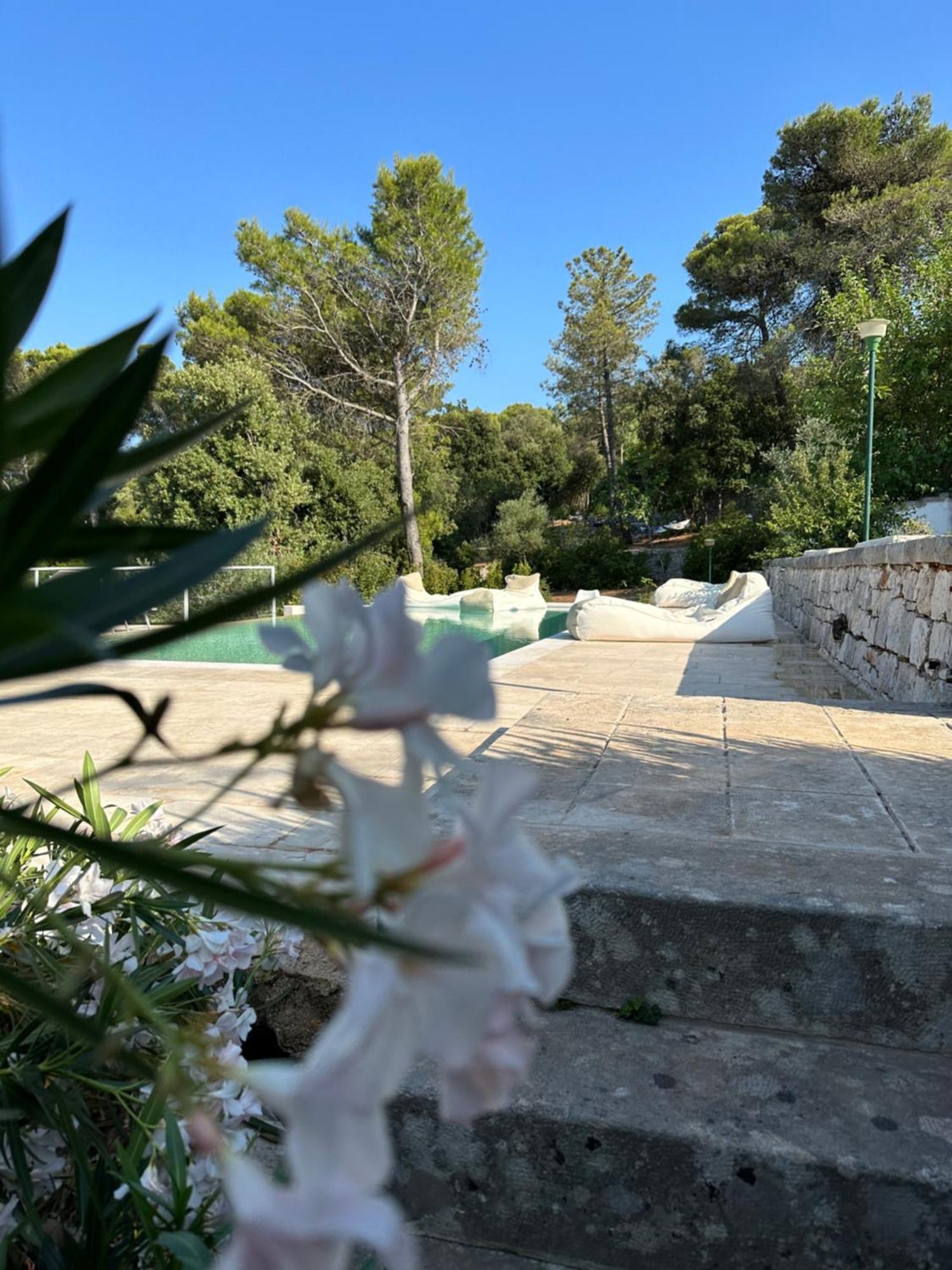 Bed and Breakfast Il Trullo Di Simona Locorotondo Exteriér fotografie