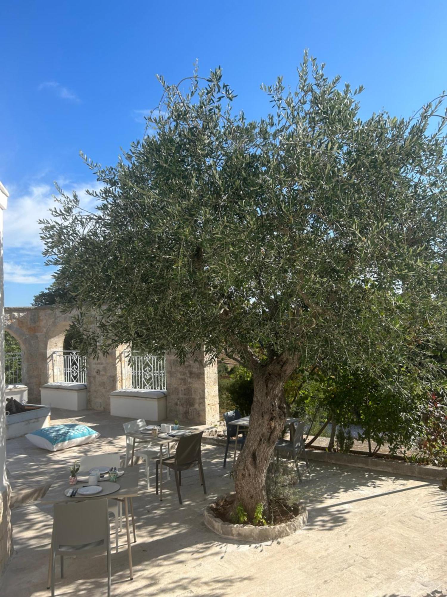 Bed and Breakfast Il Trullo Di Simona Locorotondo Exteriér fotografie