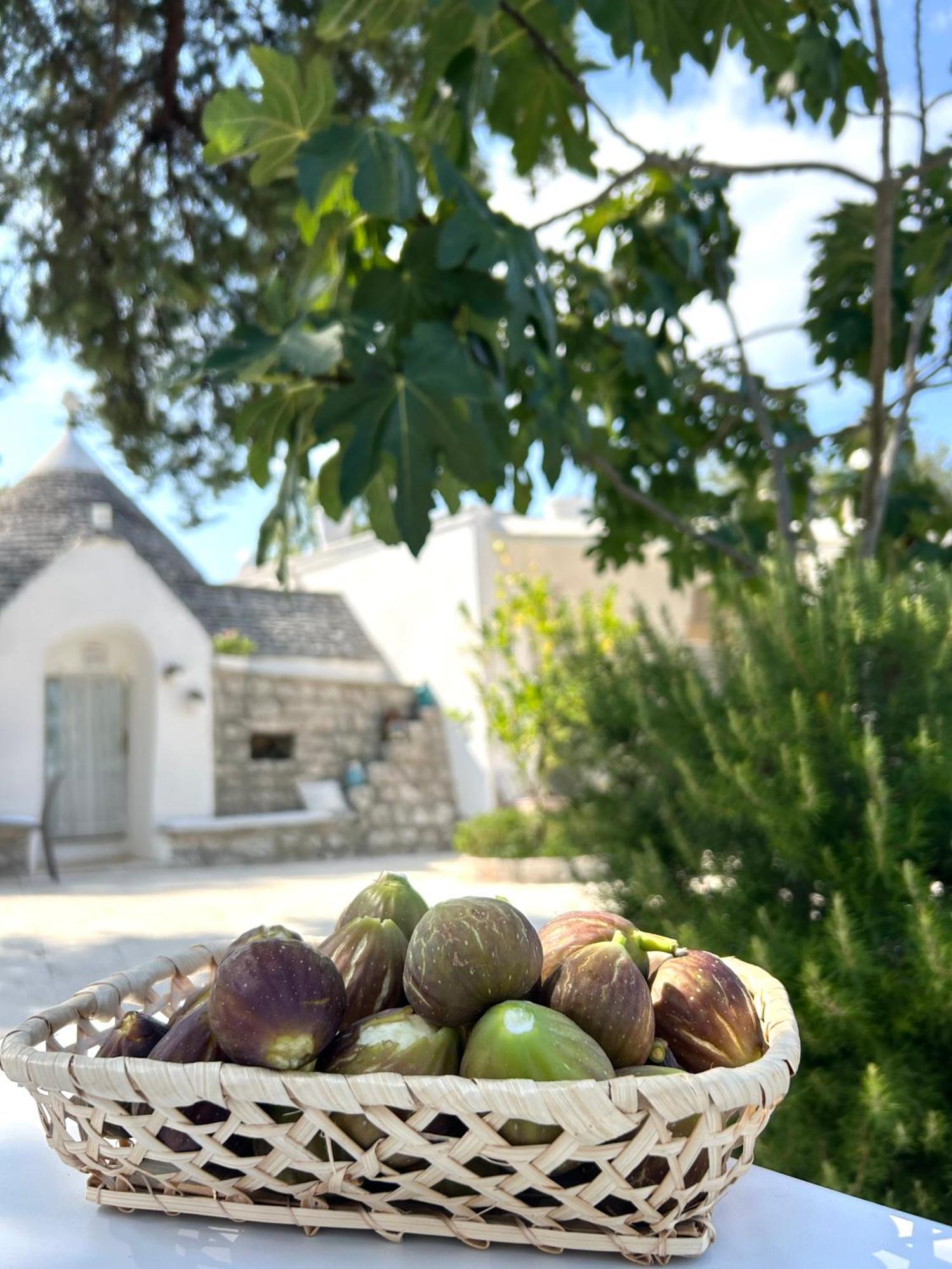 Bed and Breakfast Il Trullo Di Simona Locorotondo Exteriér fotografie