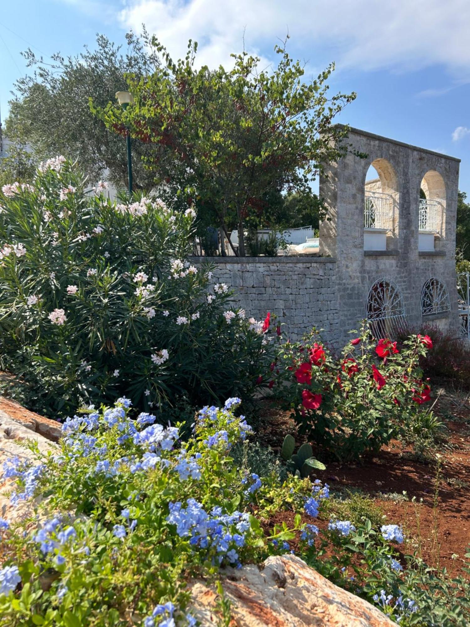 Bed and Breakfast Il Trullo Di Simona Locorotondo Exteriér fotografie